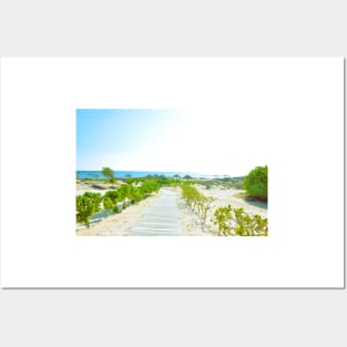 Pathway to the beach in Oman Posters and Art